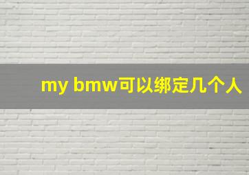 my bmw可以绑定几个人